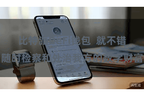 比特派DeFi钱包  就不错随时检察和处治我方的数字财富