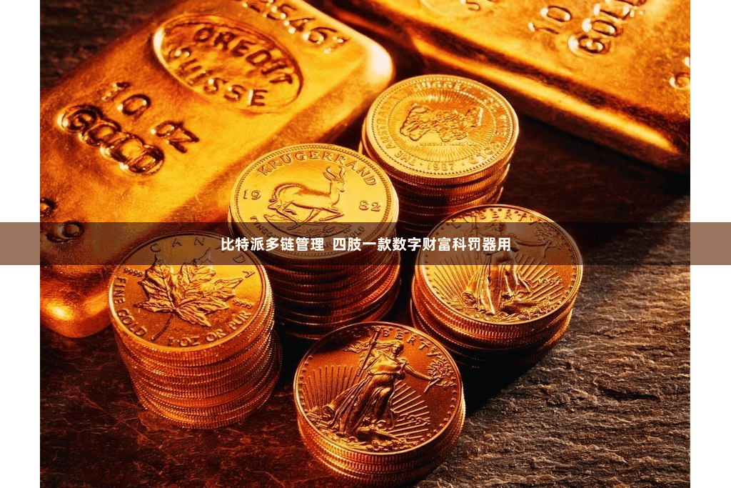 比特派多链管理  四肢一款数字财富科罚器用