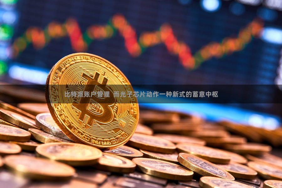 比特派账户管理  而光子芯片动作一种新式的蓄意中枢