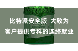 比特派安全版  大致为客户提供专科的连络就业