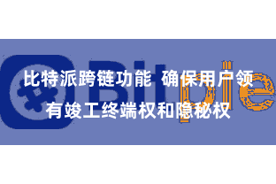 比特派跨链功能  确保用户领有竣工终端权和隐秘权