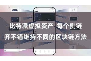比特派虚拟资产  每个侧链齐不错维持不同的区块链方法